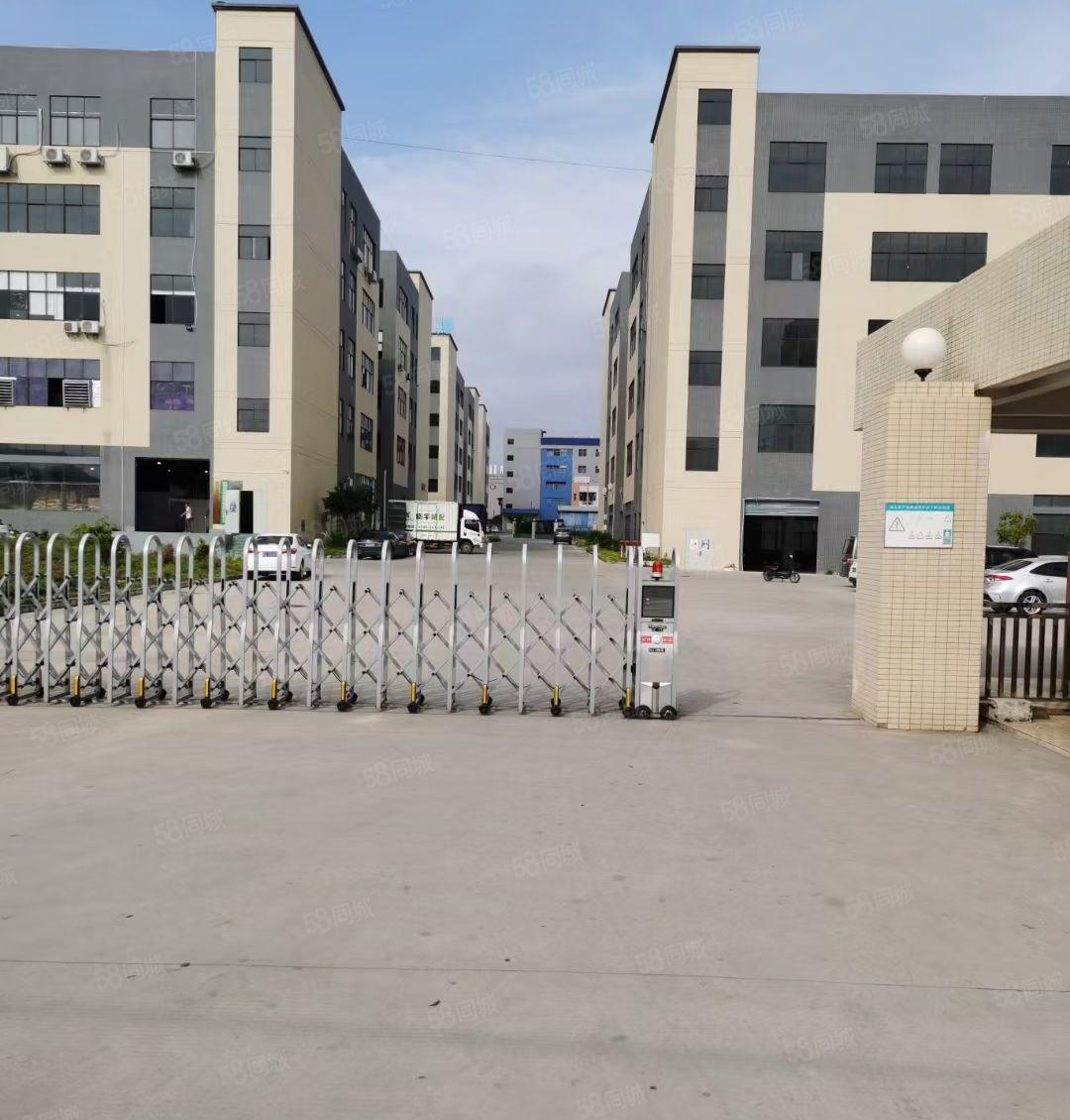 水口红本工业园区空出2400平 带现成装修 一楼层高5.5米