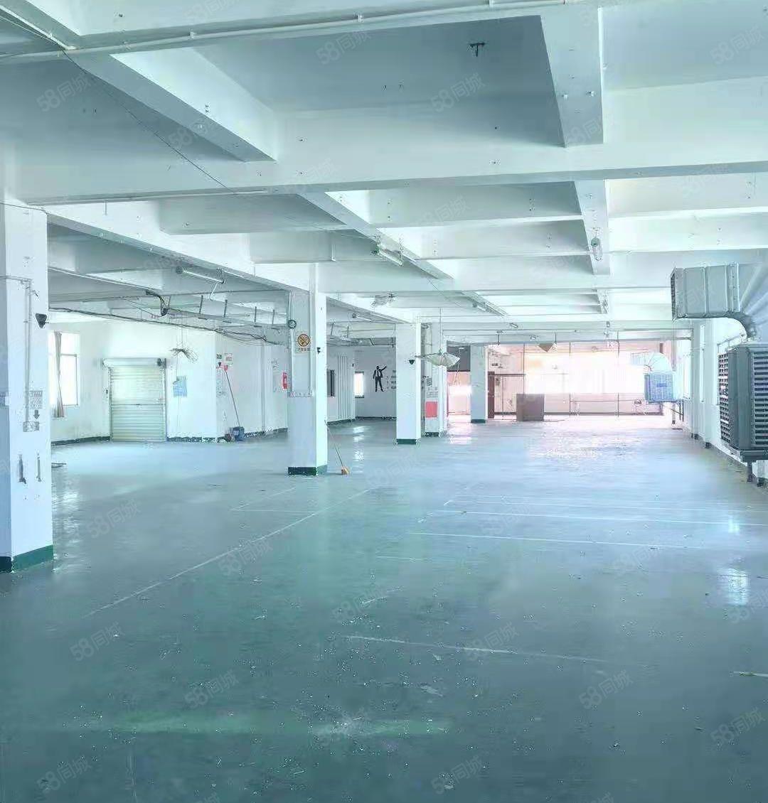 惠城水口中心工业区红本厂房1500平方出租