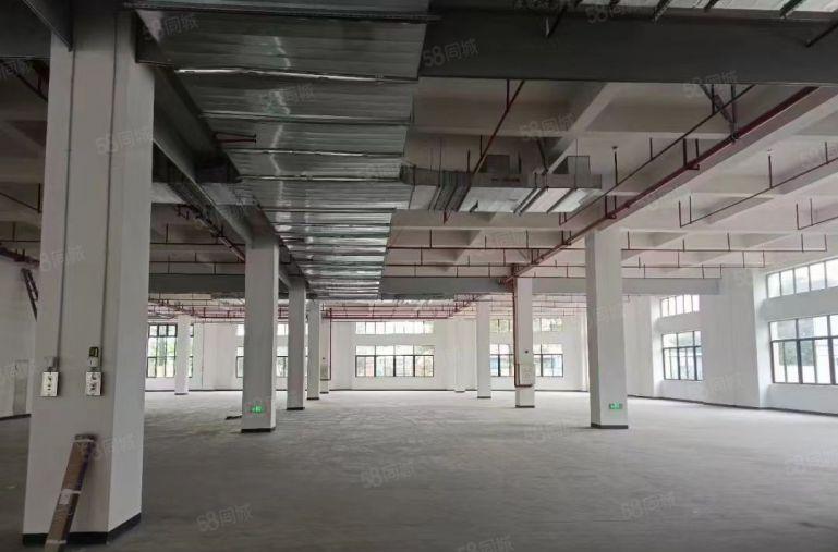 马安原房东标准厂房一二层8800平方出租，适合五金注塑