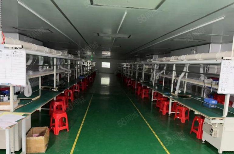 惠城区三栋镇现成装修标准无尘车间低价厂房出租