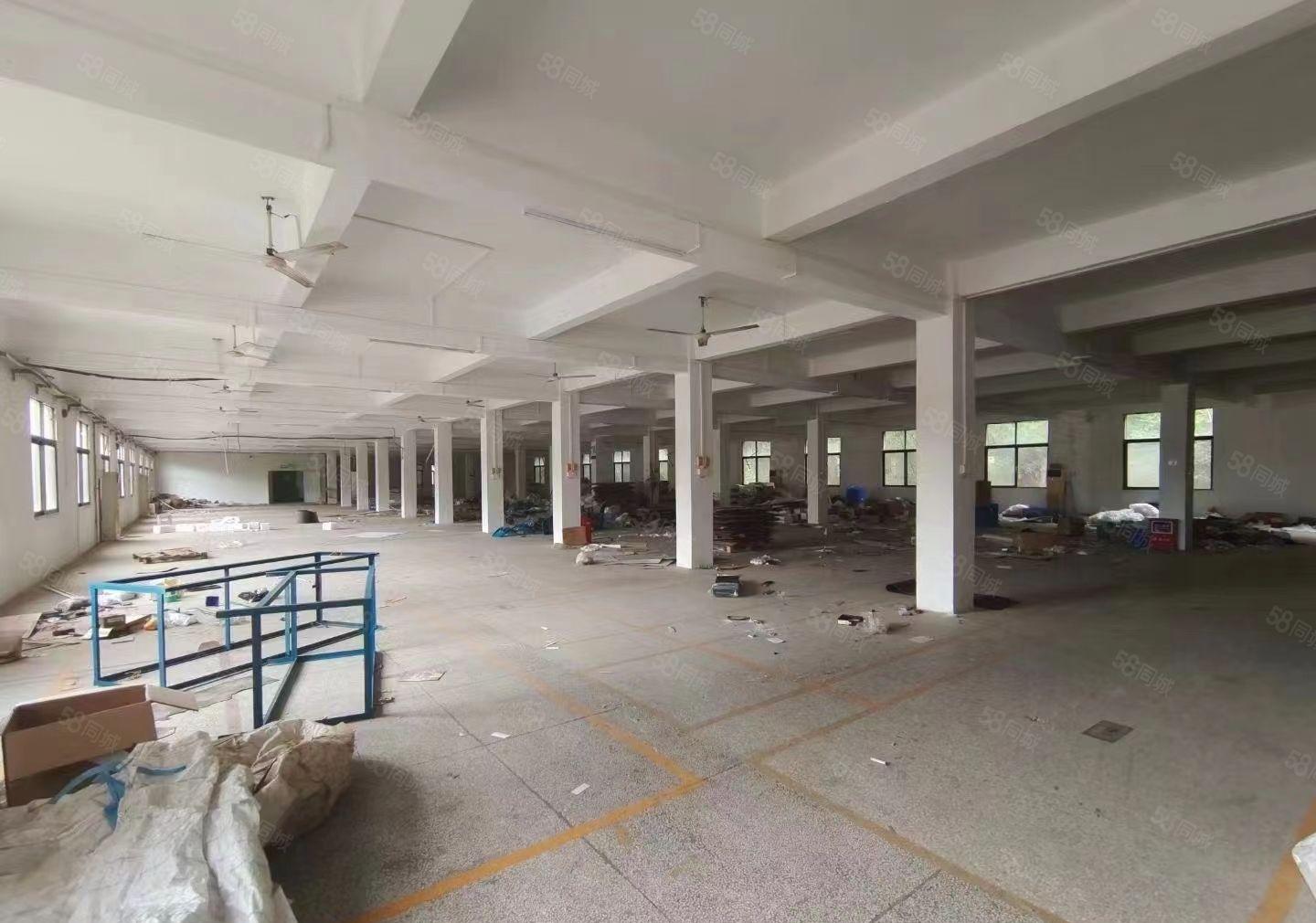 小金独院标准厂房1万平米出租，红本厂房带货梯空地大