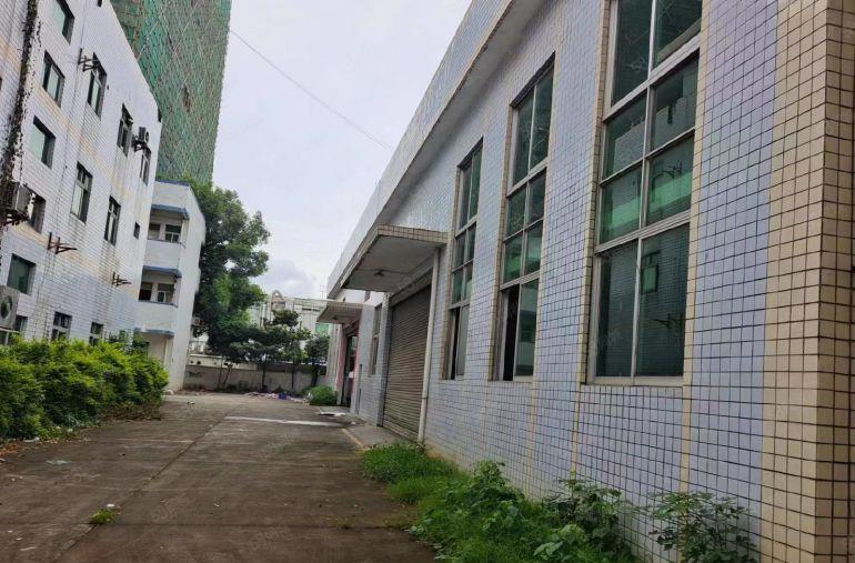 靓马安新出独院厂房4500平米招租