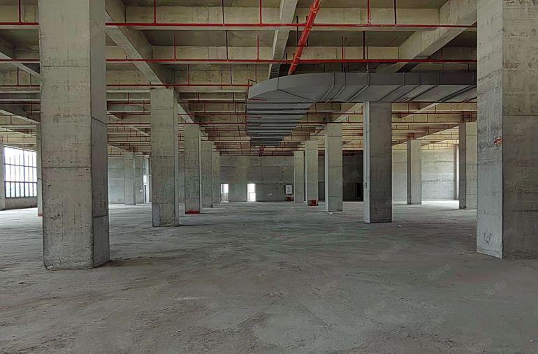 三栋镇42000平方全新标准厂房红本双证可分租