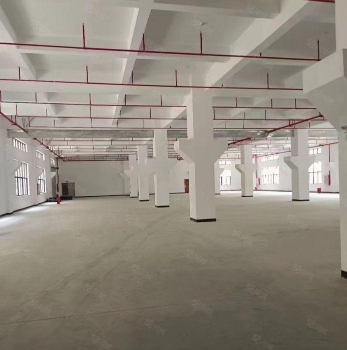 （大小可分租）标准重工业红本厂房出租马安新乐