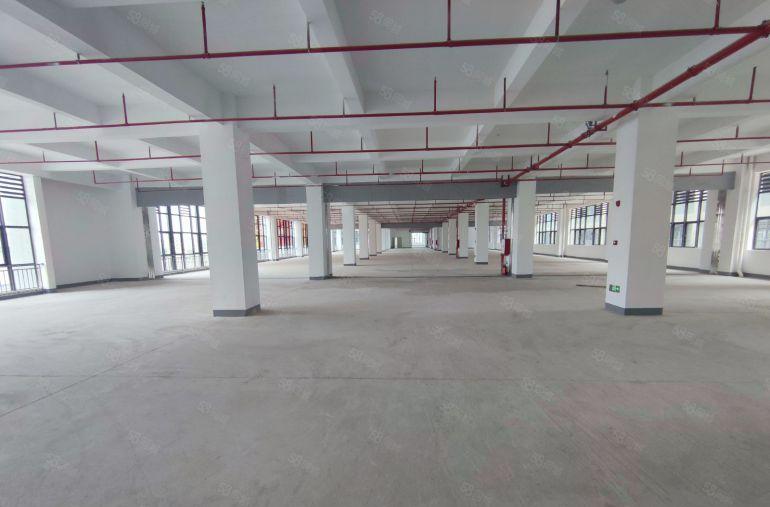 马安标准厂房一二楼出租3600平一楼层高8米证件齐全可分租