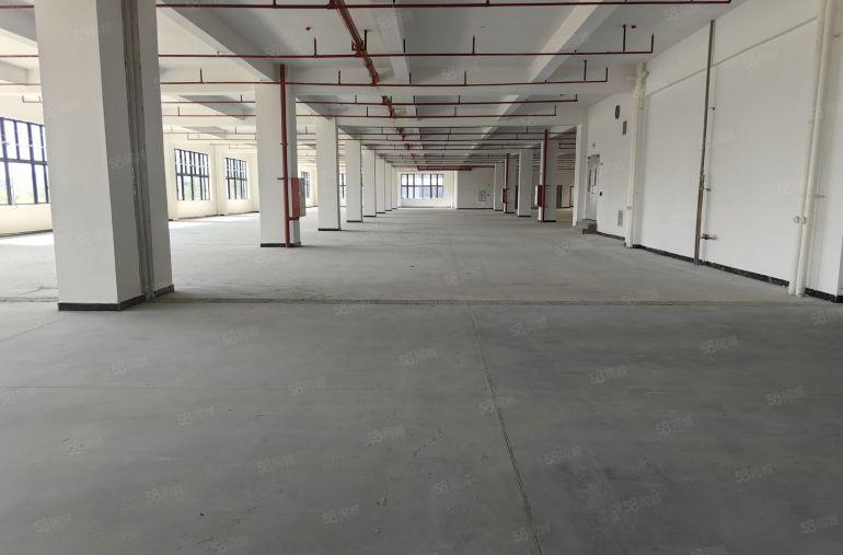 小金口食品环评全新4层7800平独门独院厂房出租。可分租