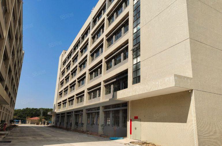 惠城小金口1000平独门独院厂房出租分租精装修可办公可生产