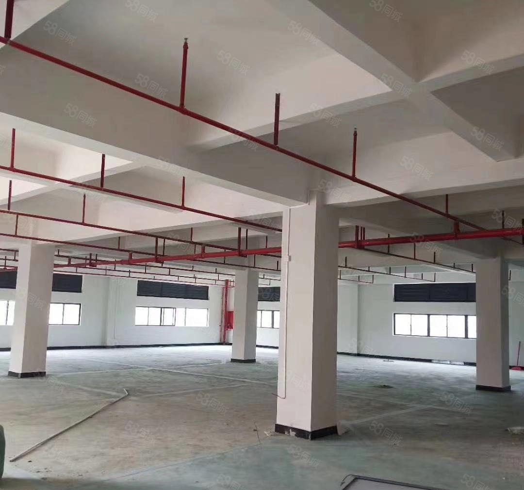 水口中心工业区独院三层3700平方厂房出租可进大车