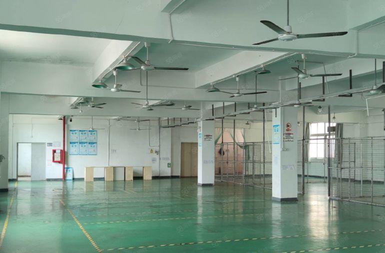 惠城小金口工业园700平独院整层厂房办公室物流仓库出租可分租