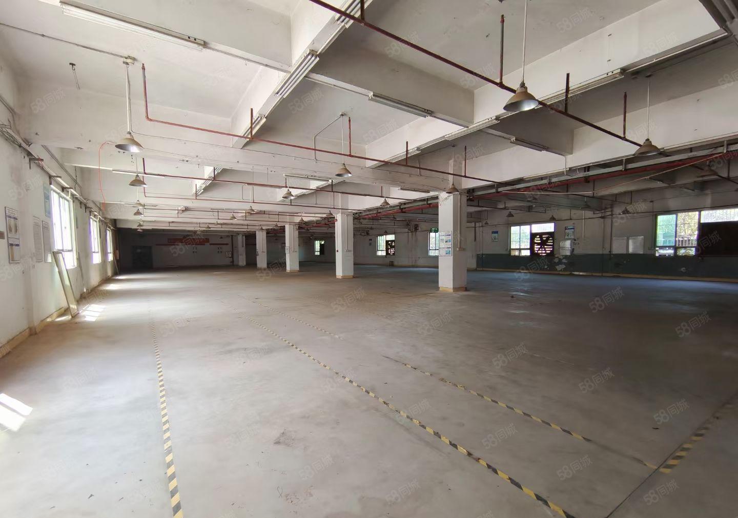 新乐独院花园厂房5250平方可分租