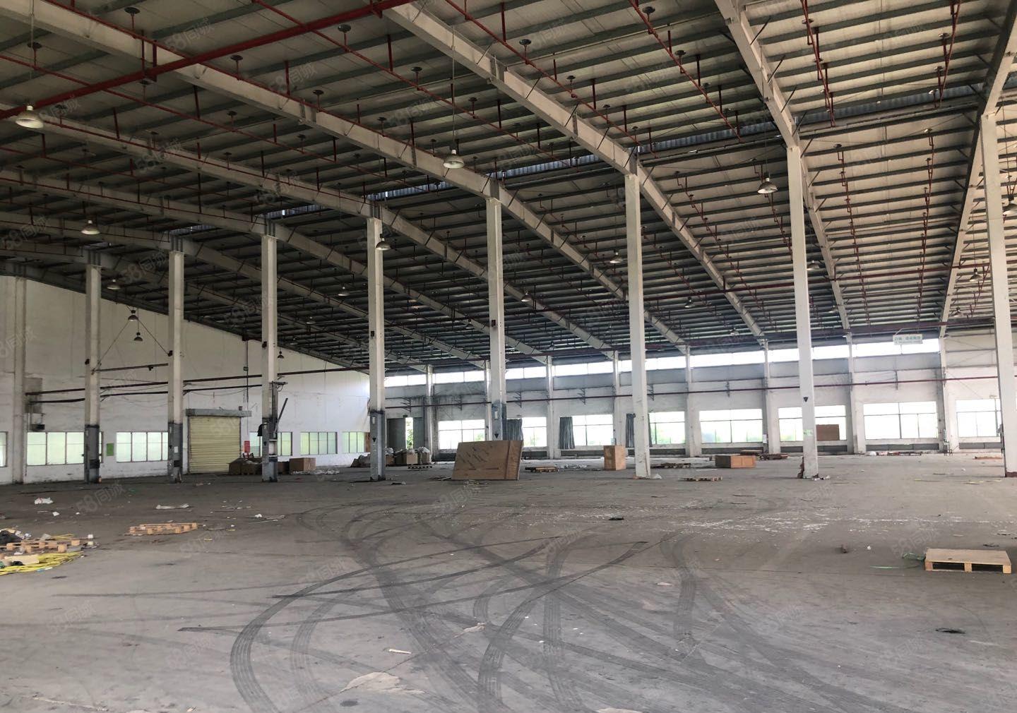 惠城区马安镇滴水11米国有证钢构厂房招租