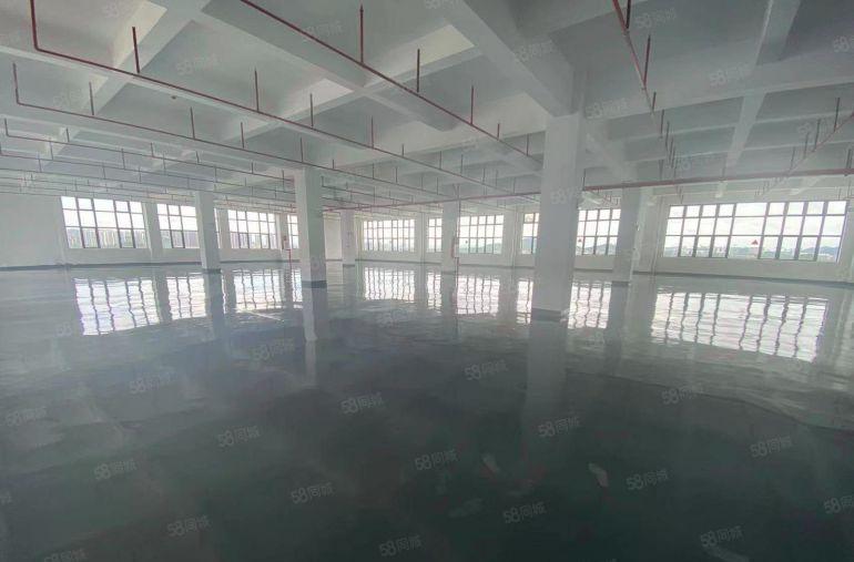 水口东江市场原房东厂房单层1200平米 8元起租