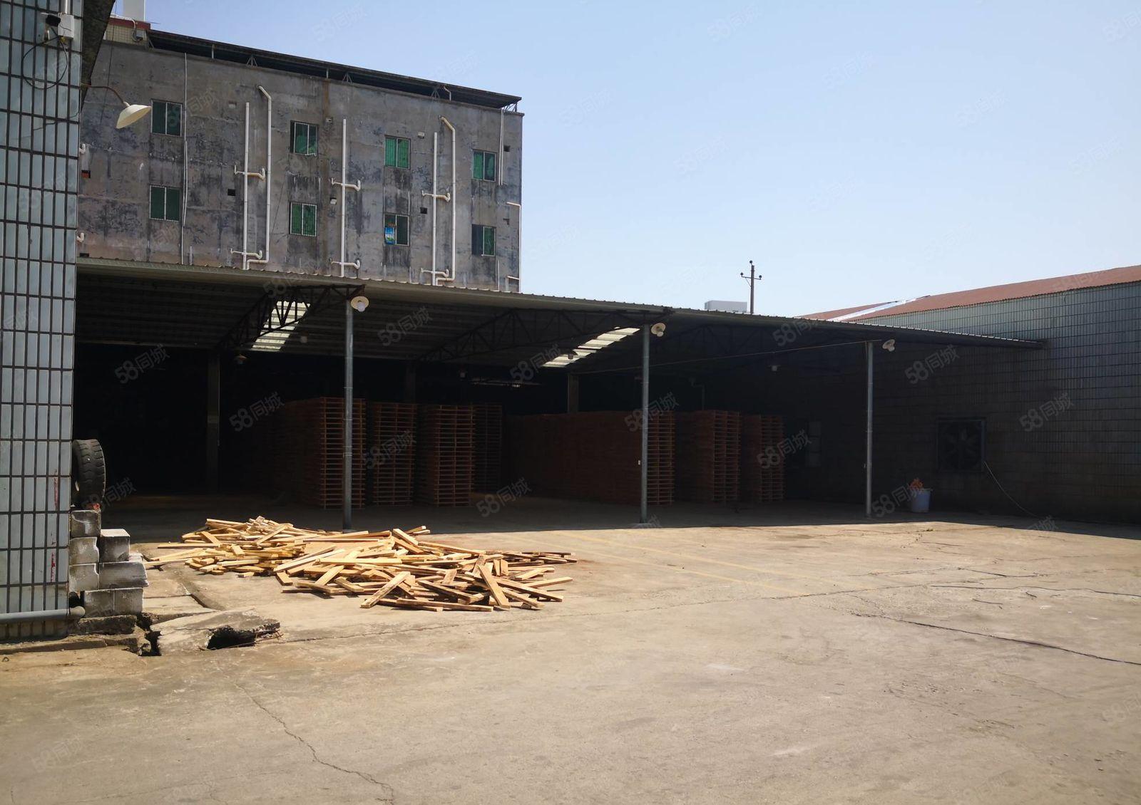 惠城区小金原房东单层钢构厂房2000平方出租