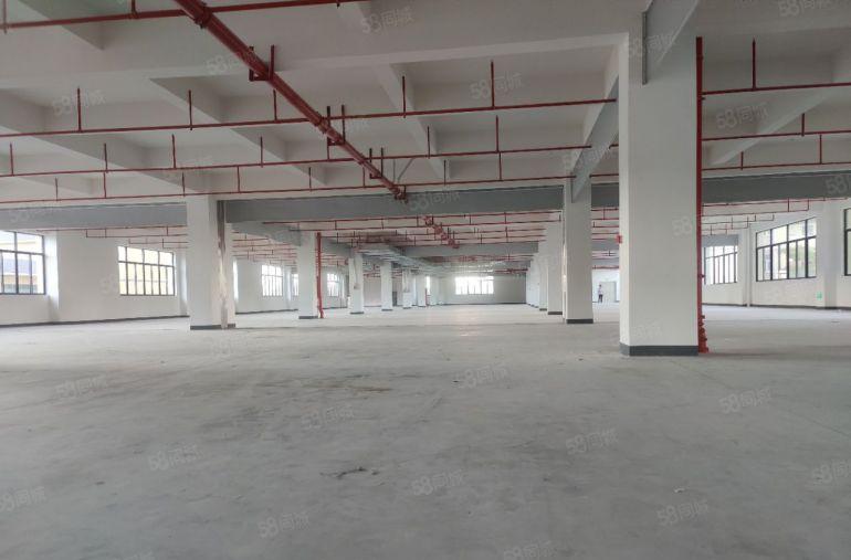 原房东独门独院厂房实际面积出租，位置好，国道的边上