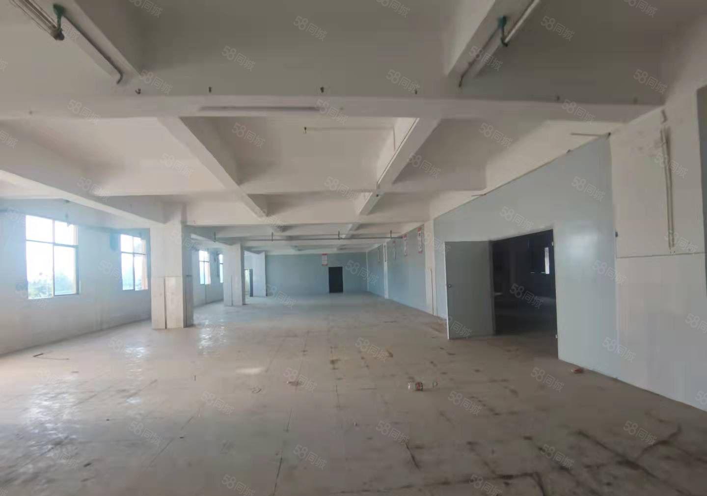 惠州市小金口九龙村独门独院2500平厂房出租