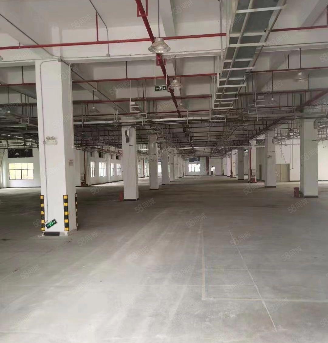 小金口独门独院标准厂房出租面积6638双证齐全招租