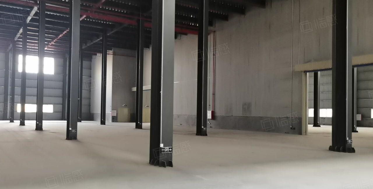 惠城河南岸太东工业园1万平高台仓层高11米仓库厂房出租可分租