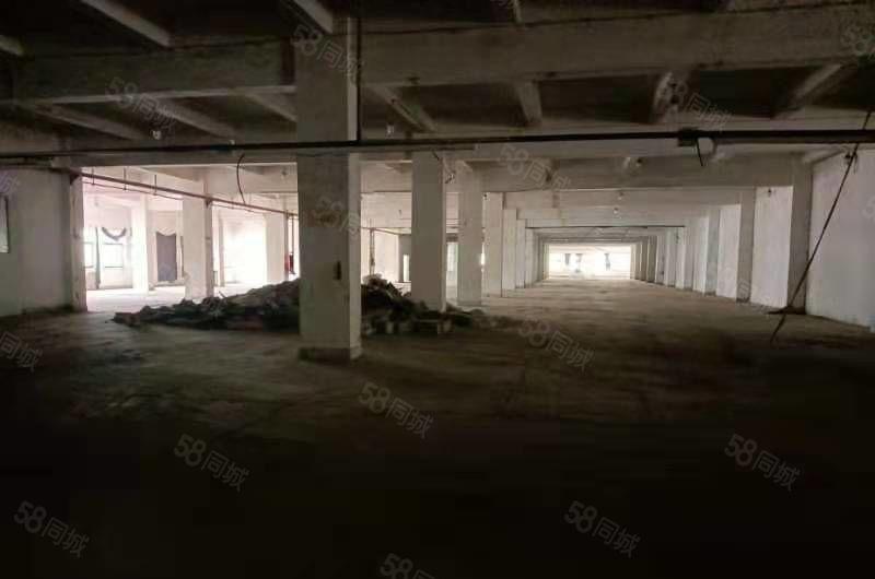 靓下角独院厂房1.8万平米招租