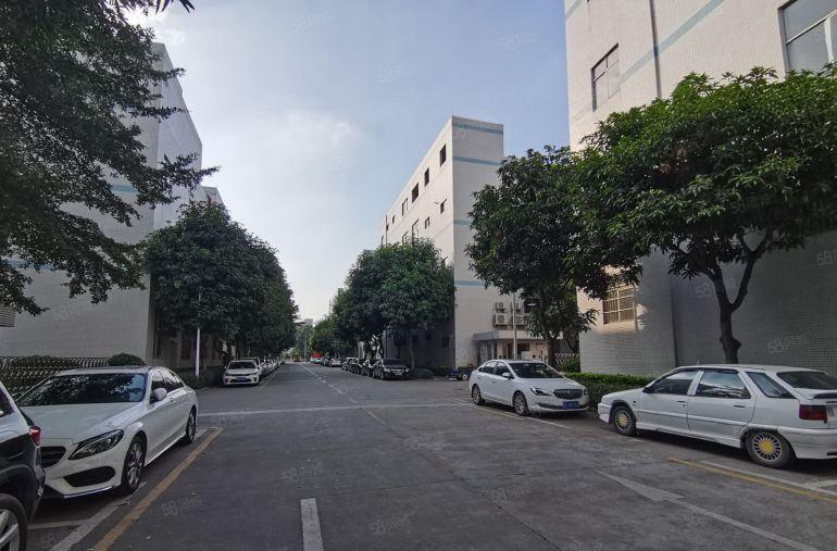 惠州水口1000平厂房出租仓库可分租带货梯精装办公室交通便利