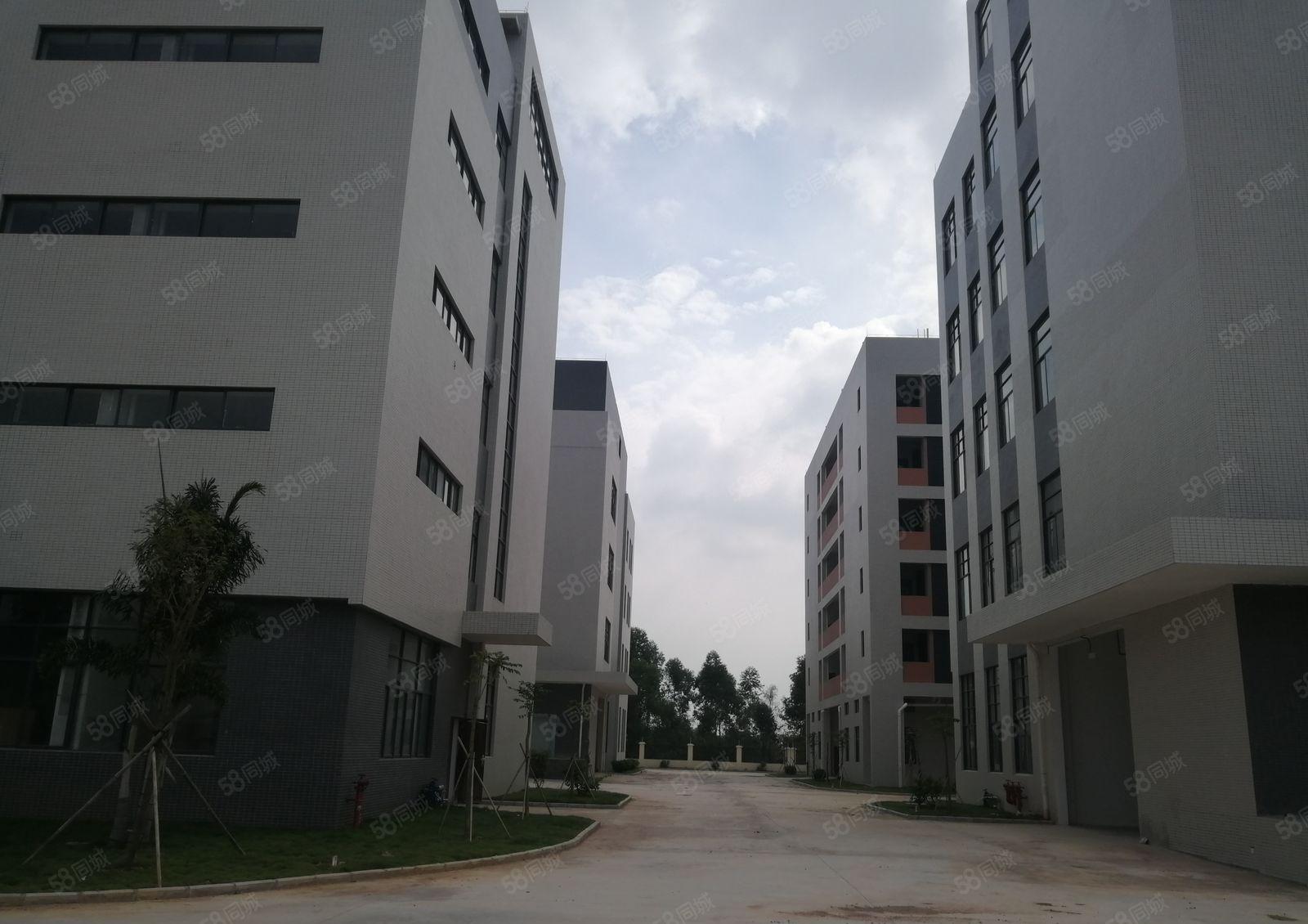 12元起租水口镇全新5万平红本厂房仓库可做污染行业出租