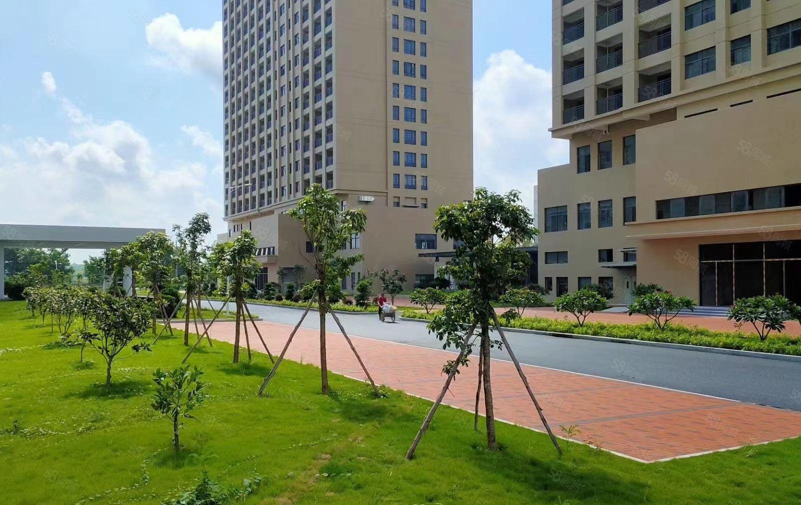 水口花园式大型产业园红本厂房招商，大小可分，园区配套齐全