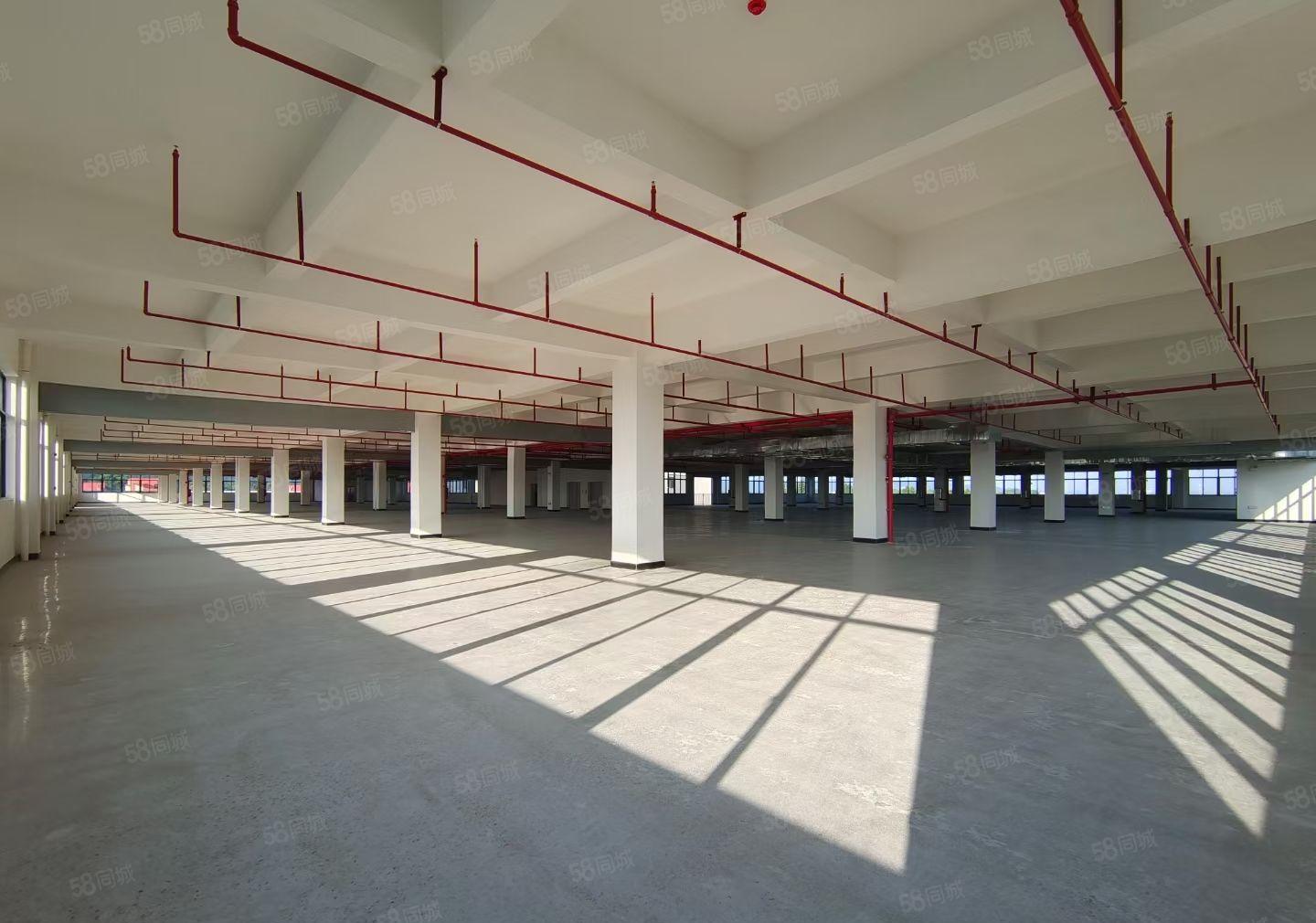 全新独院工业园可办环评丙二类消防15,000平方厂房可分租