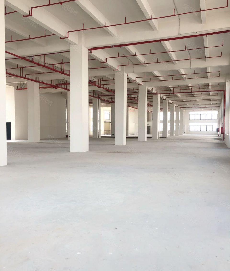 钜惠！惠城河南岸新出500~20000平标准厂房出租，临高速