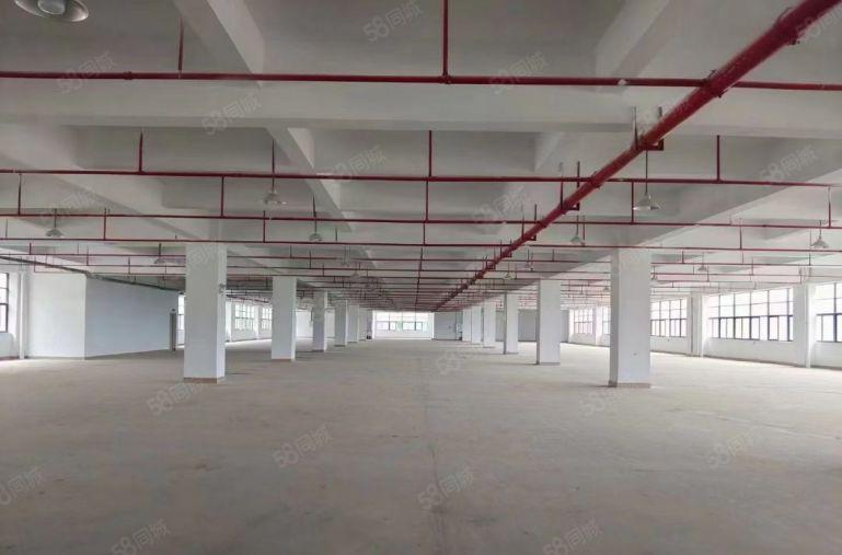 （大小可分租）标准重工业红本厂房出租马安新乐
