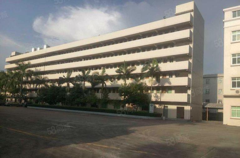 靓水口全新独院厂房1至8楼26400平米