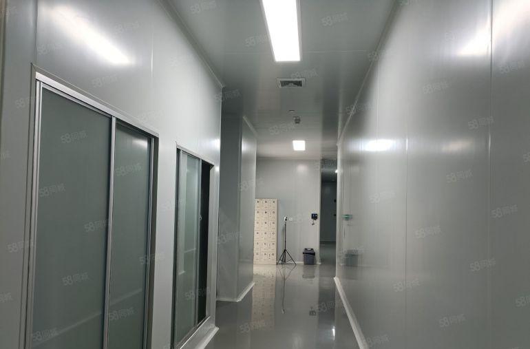 水口一楼720方2200方2400方红本厂房招租层高6米