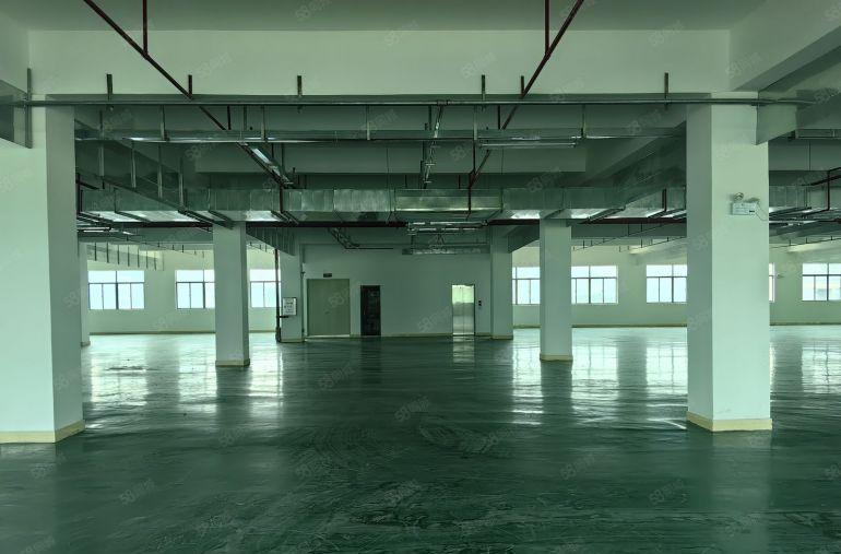 小金口8元厂房出租，独栋4层6000平，货梯5吨2部