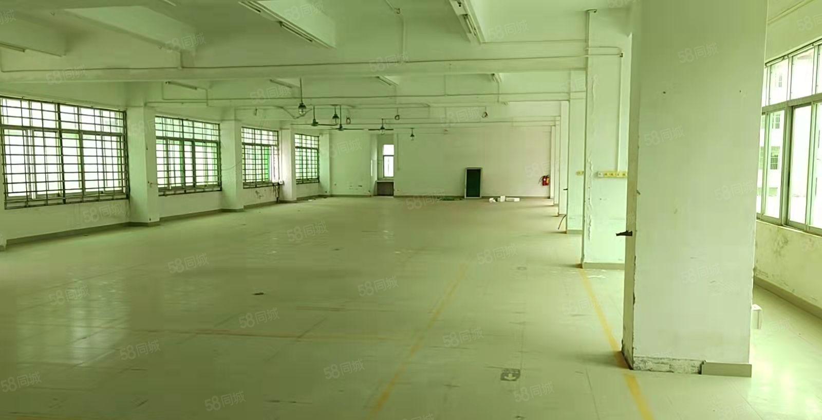 小金口柏岗厂房，三四楼800车间，二楼200平方宿舍办公室。