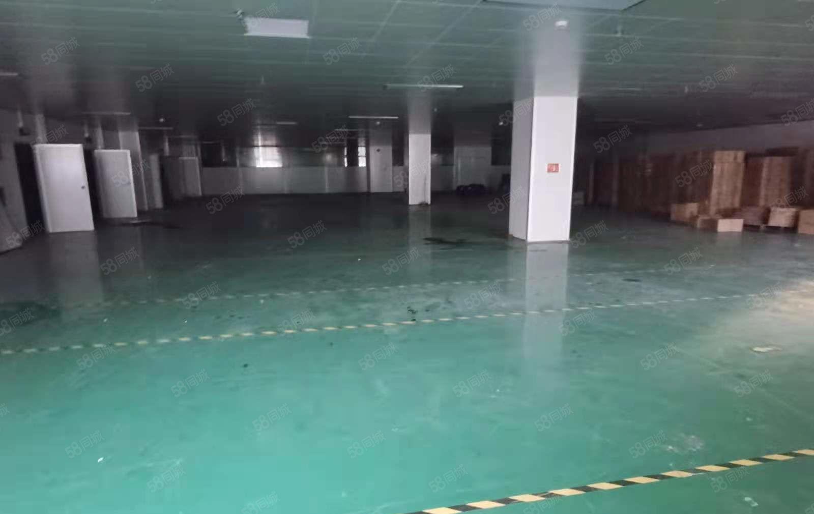 东江高新区现成地坪漆1300平米标准厂房招租，高5米