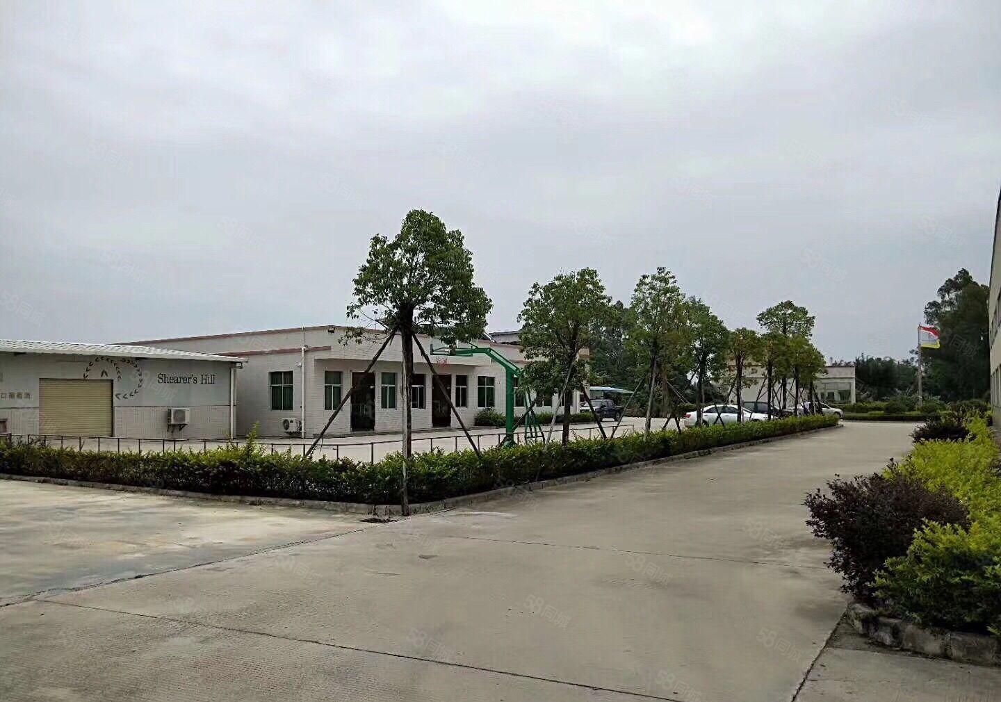 江北 独门独院 钢结构厂房2600平米招租