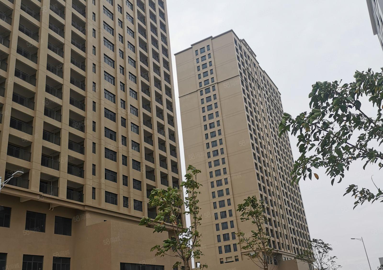 9元厂房出租水口工业区38万平方200平方起分租