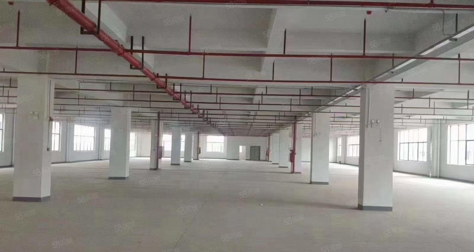 马安全新厂房一二楼5200平 配套齐全 可分租 招工方便