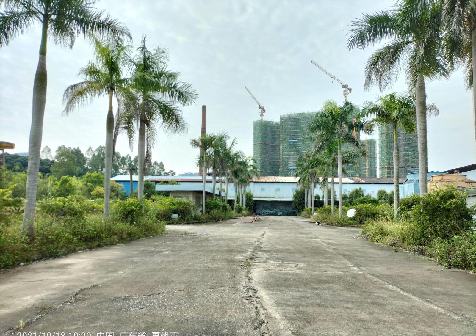 惠城区三环内原房东独院厂房招租（空地2万平）