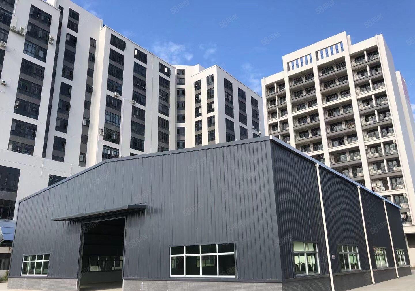 全新工业园红本钢构厂房，带宿舍办公室，超大空地