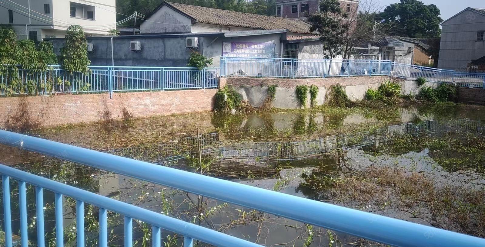 惠城区马安适合做农庄 养植.办公等 房子1千平 鱼塘1千平