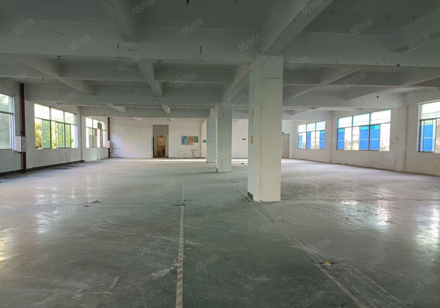 水口中心工业区二楼三楼各2680平厂房出租（可分租）带装修