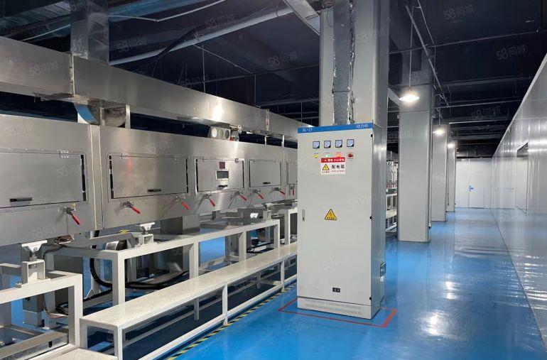 惠城区水口带无尘车间厂房，独门独院，电子医疗实验室，豪华装修