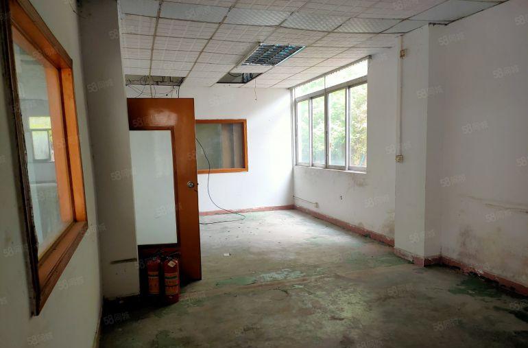 低价河南岸原房东独院单一层钢构厂房出租 600平铁皮房可分租