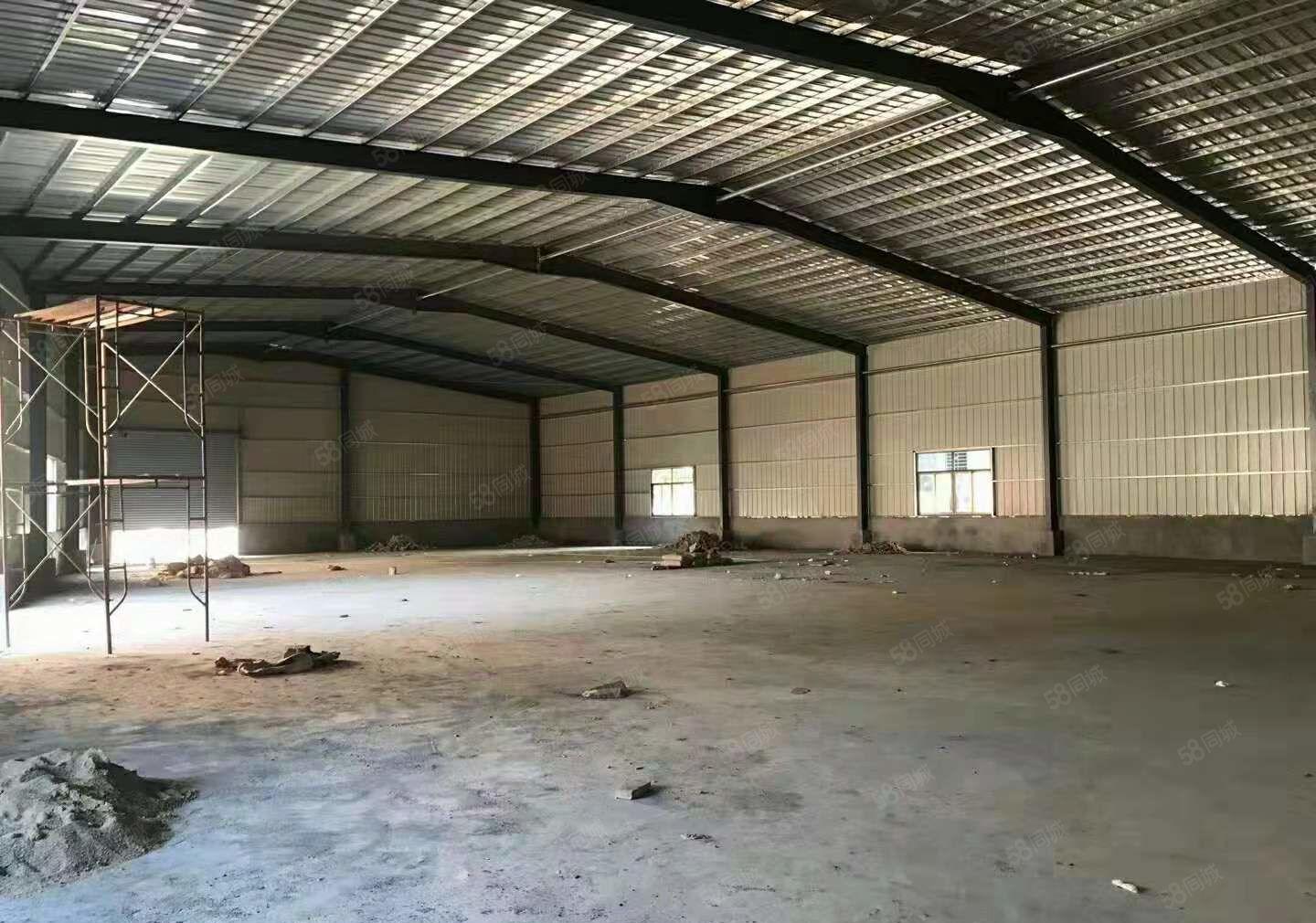 惠城区小金口原房东（800平方）滴水5米钢构厂房 仓库