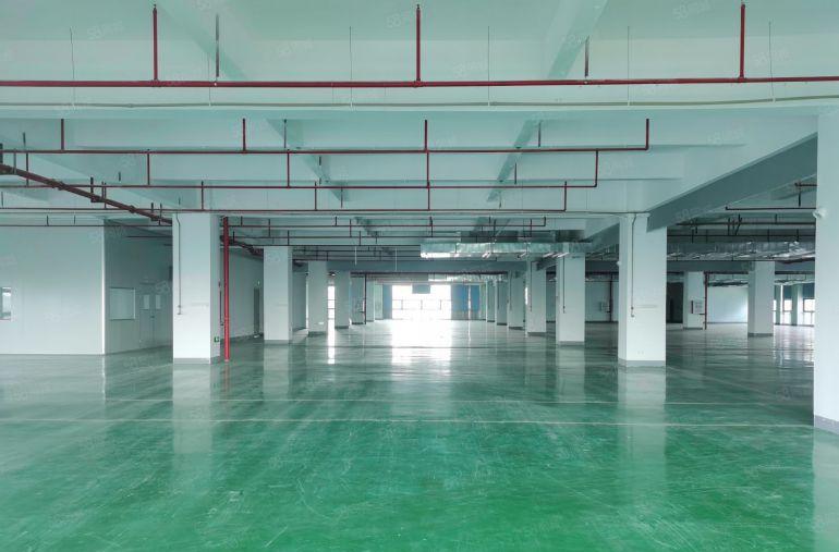 三栋镇数码园南区原房东3000平标准厂房仓库出租