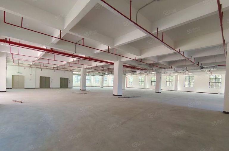 水口龙湖大道边全新工业园一楼2500平方16元招租，证件齐全