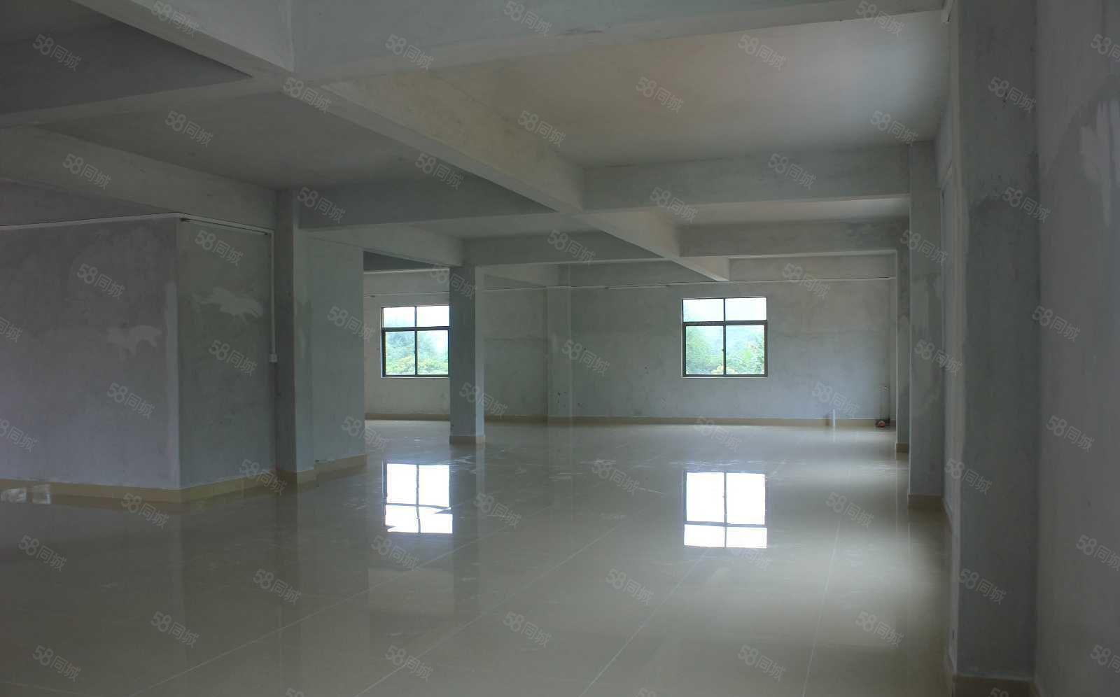 小金口大树岭独院标准厂房1300平米  单一个独院