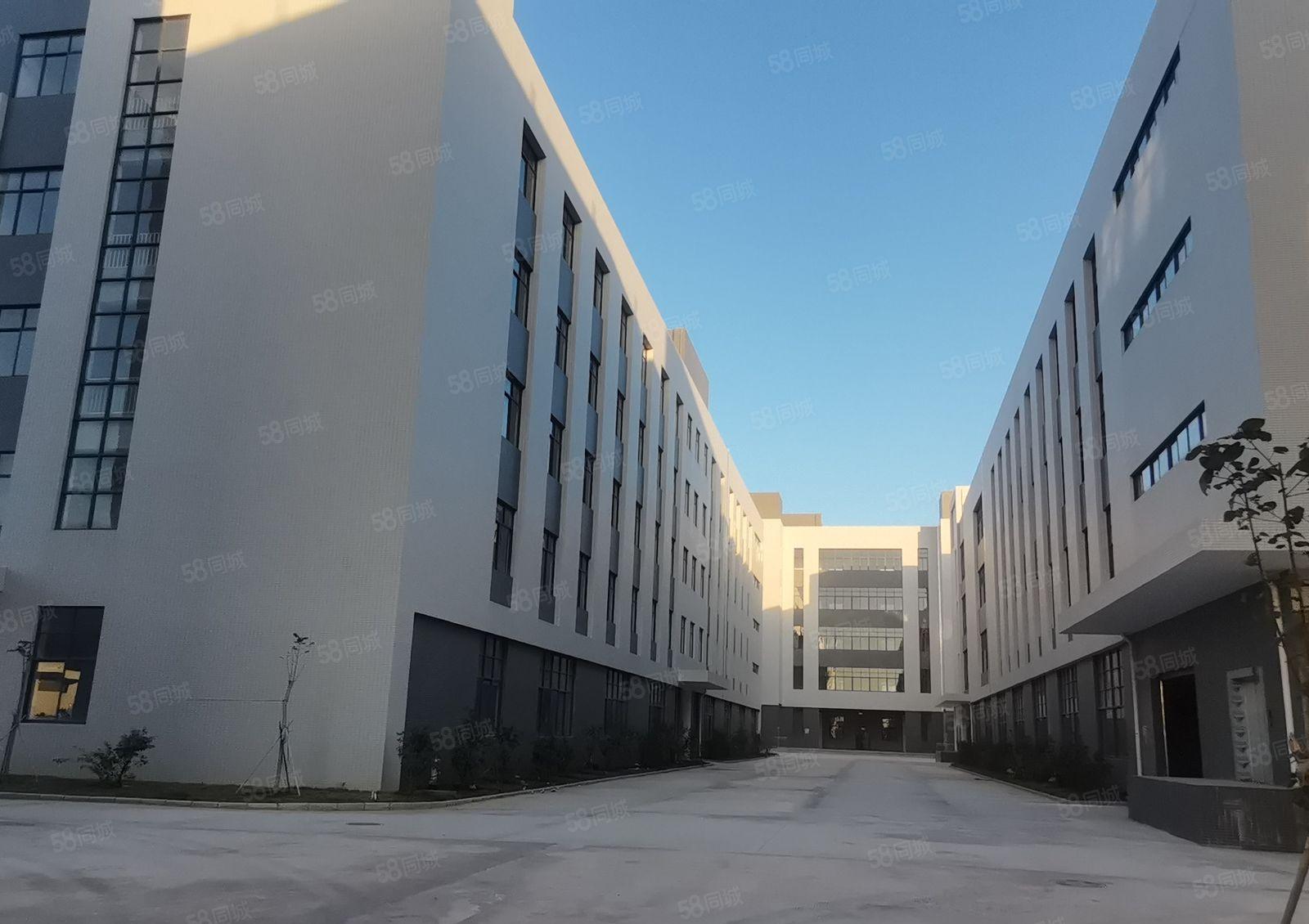 水口全新重工业10万平高新产业园厂房出租 1000平起租