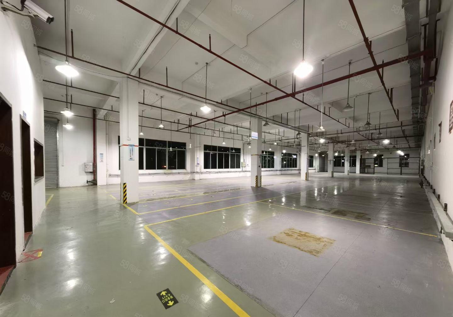 三栋数码南区 花园式一楼1600平标准厂房出租