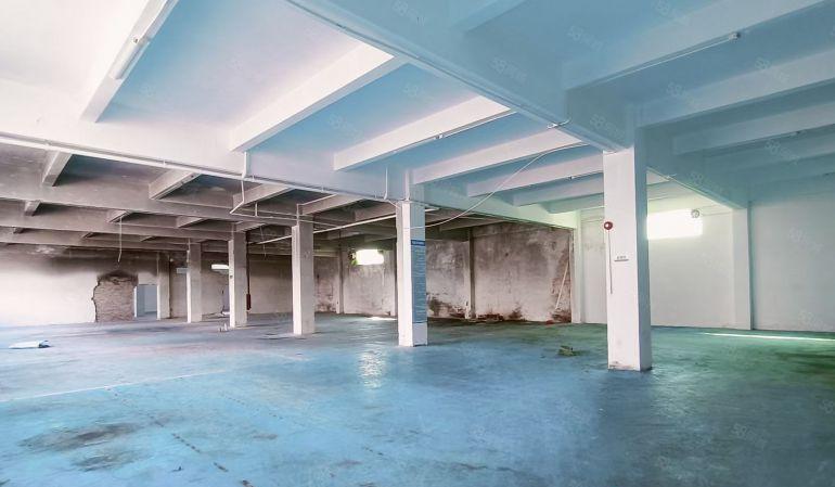 靓水口新出独院7千平米招租