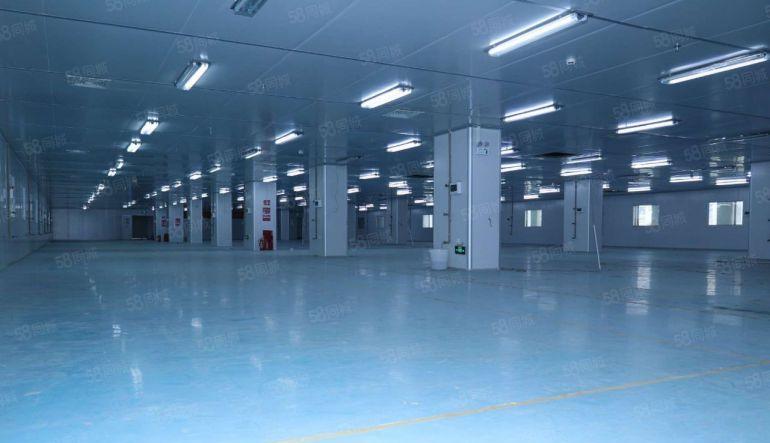 三栋数码园，三四楼无尘车间每层2796平方低价急租